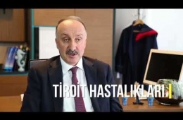 Tiroid Bezi Nedir? Tiroid Hastalıkları Nelerdir?